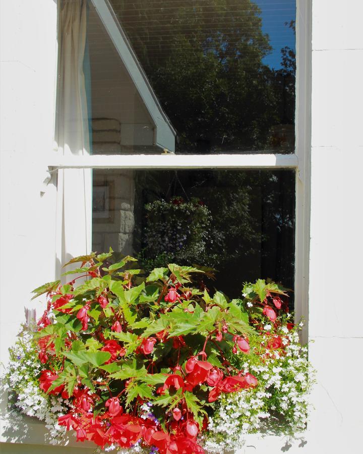 Grey Gables Farmhouse B&B Innishannon Екстер'єр фото